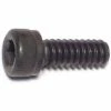 Midwest Fastener #10-24 x 1/2" Plain Coarse Thread Socket Cap Screws - 85012 - Bolts 2 Midwest Fastener #10-24 x 1/2" Plain Coarse Thread Socket Cap Screws - 85012 - Bolts -Midwest Fastener Sales 0b1c8ded2842cf972400b5cb63484cf9c56f9858 5127438 5127438 image 738287850123