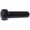 Midwest Fastener 5mm-0.8 x 20mm Black Oxide Class 12.9 Coarse Thread Knurled Head Hex Socket Cap Screws - 81666 - Bolts 1 Midwest Fastener 5mm-0.8 x 20mm Black Oxide Class 12.9 Coarse Thread Knurled Head Hex Socket Cap Screws - 81666 - Bolts -Midwest Fastener Sales 31198365b9f6dd6723b2374e4589ebacc2bc51e3 5127137 5127137 image 738287816662