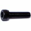 Midwest Fastener #8-32 x 5/8" Plain Coarse Thread Socket Cap Screws - 85003 - Bolts 1 Midwest Fastener #8-32 x 5/8" Plain Coarse Thread Socket Cap Screws - 85003 - Bolts -Midwest Fastener Sales 5191883f3d30a8c52b96b9aff48d222a74037b7e 5127373 5127373 image 738287850031