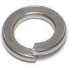 Midwest Fastener 10mm x 18mm A2 Stainless Lock Washers - 87559 - Bolts 2 Midwest Fastener 10mm x 18mm A2 Stainless Lock Washers - 87559 - Bolts -Midwest Fastener Sales 6532b93f900d03b281651e15403607b8c0b470ac 83790454 83790454 image 738287875591