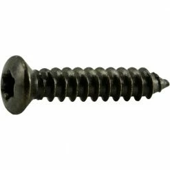 Midwest Fastener 4.2mm x 20mm Black Oxide Star Drive Oval Head Sheet Metal Screws - 84772 - Bolts -Midwest Fastener Sales 6a0021d9873f938aafc6a78da6afd431dfcd7e3b 5126950 5126950 image 738287847727