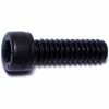 Midwest Fastener #10-24 x 5/8" Plain Coarse Thread Socket Cap Screws - 85013 - Bolts -Midwest Fastener Sales 9e85a0d3d8a73eba8fc2498588cb022fa9426e13 5127441 5127441 image 738287850130