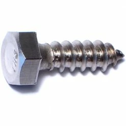Midwest Fastener 5/16" x 1" 18-8 Stainless Hex Head Lag Screws - 83481 - Bolts 5 Midwest Fastener 5/16" x 1" 18-8 Stainless Hex Head Lag Screws - 83481 - Bolts -Midwest Fastener Sales b259c649dafdcd4cbf02d4461c3230762863bae7 5126293 5126293 image 738287834819