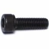 Midwest Fastener #10-32 x 5/8" Plain Fine Thread Socket Cap Screws - 85023 - Bolts 2 Midwest Fastener #10-32 x 5/8" Plain Fine Thread Socket Cap Screws - 85023 - Bolts -Midwest Fastener Sales be693c6d2ad37bf58a4b807a2f01b579a95be9c5 5127522 5127522 image 738287850239