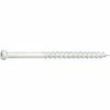 Midwest Fastener 8 x 2-1/2" White XL1500 Coated Star Drive Saberdrive Trim Screws - 51255