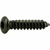 Midwest Fastener 4.2mm x 20mm Black Oxide Star Drive Oval Head Sheet Metal Screws - 84772 - Bolts