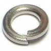 Midwest Fastener #10 x 3/16" x 21/64" 18-8 Stainless Split Lock Washers - 23885 - Bolts -Midwest Fastener Sales fe46b7915bc27cd88a65c7c01ae34907e582ec19 83790736 83790736 image 738287238853